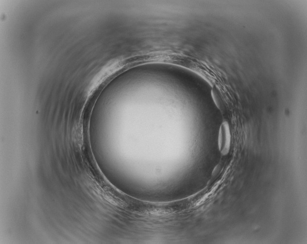 X0000087390198200704201251