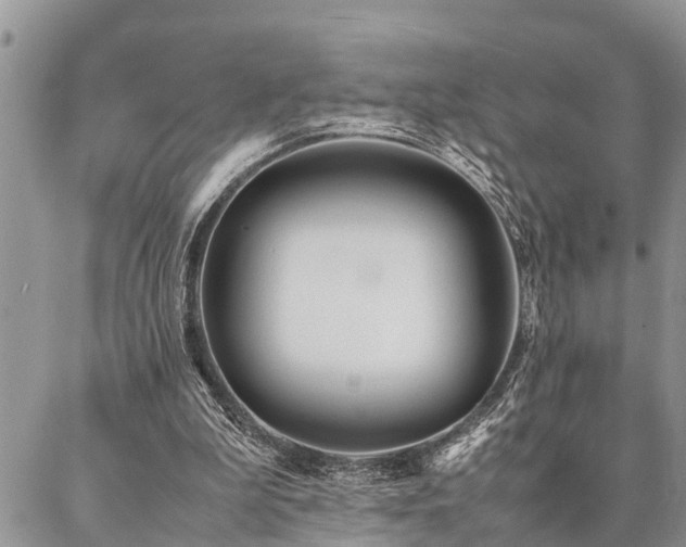 X0000087390199200704201251