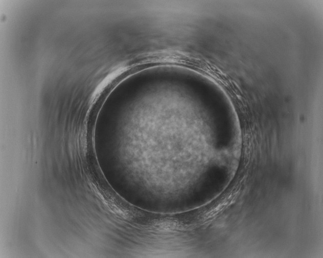 X0000087390200200704201251