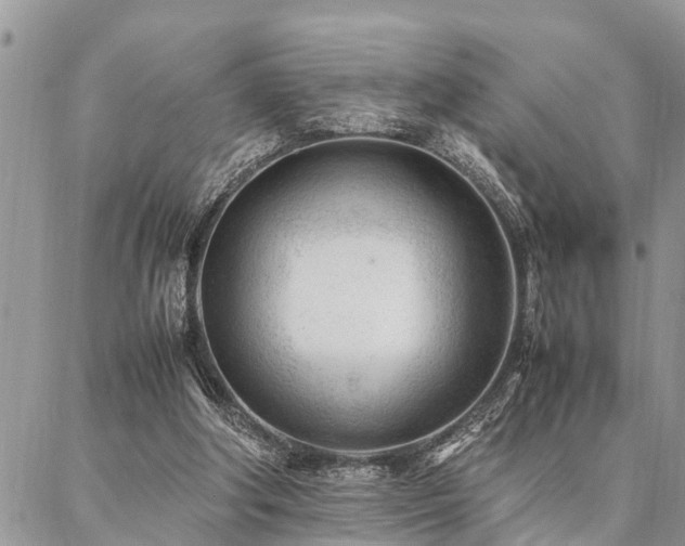 X0000087390202200704201251