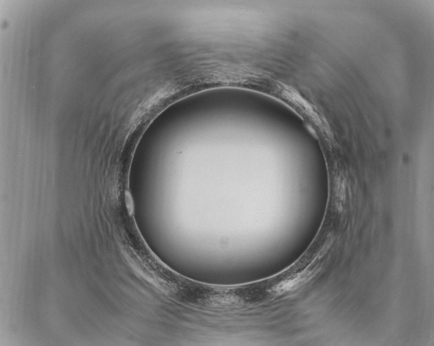 X0000087390203200704201251