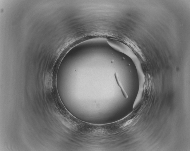 X0000087390204200704201251