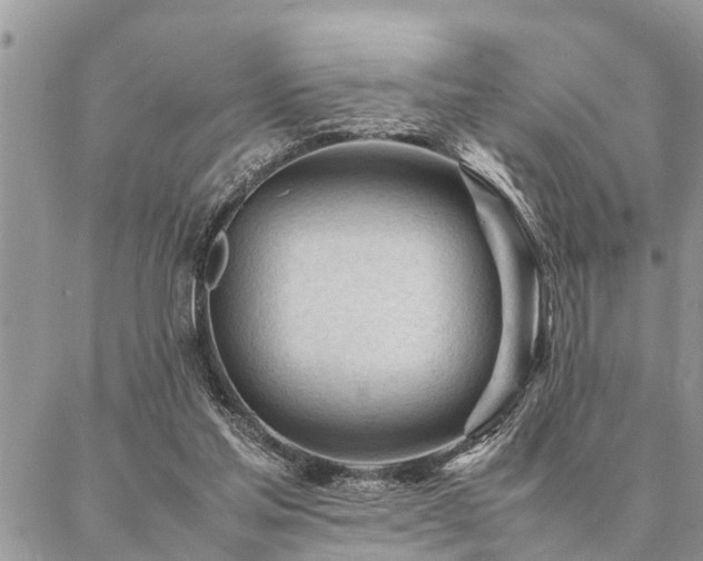 X0000087390205200704201251