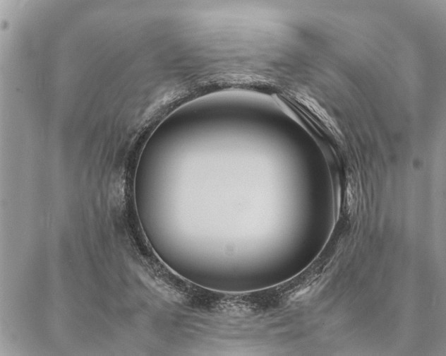 X0000087390207200704201251