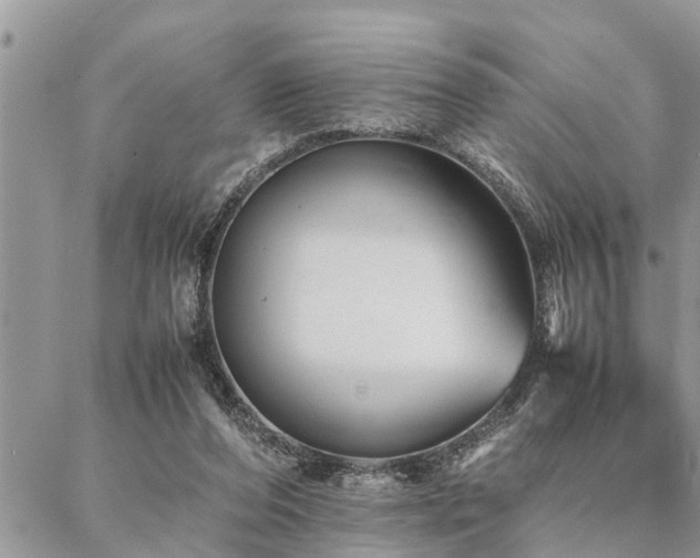 X0000087390208200704201250