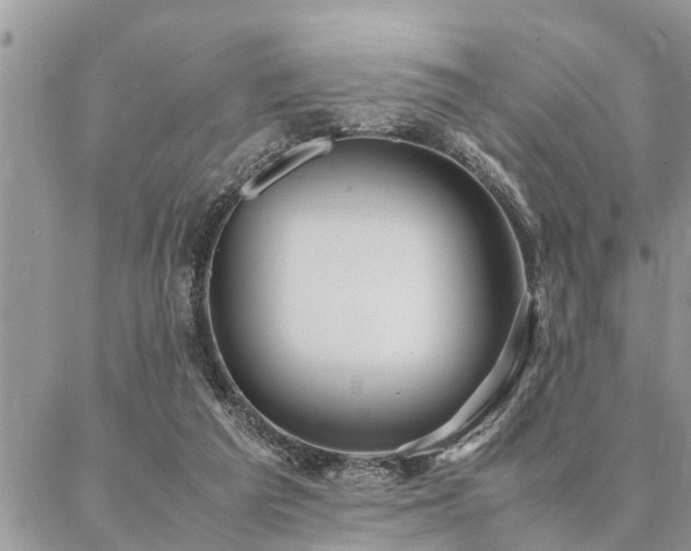 X0000087390209200704201250