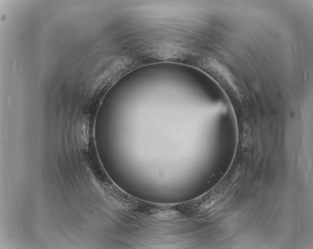 X0000087390210200704201250