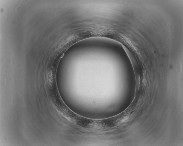 X0000087390211200704201250