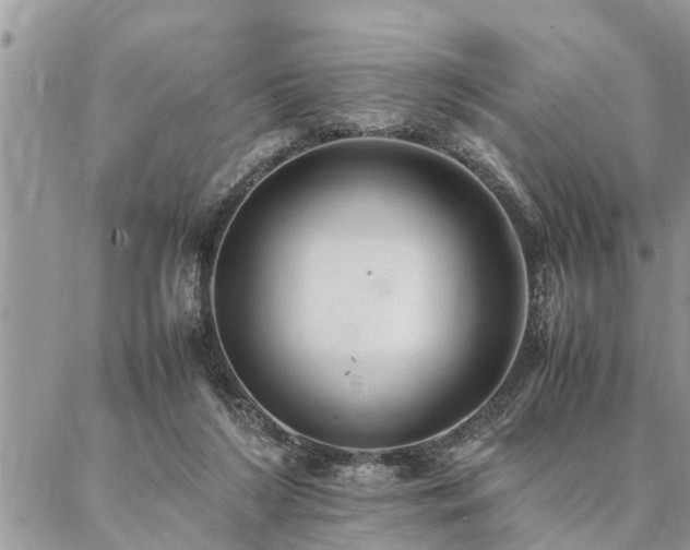 X0000087390212200704201250