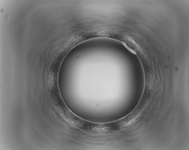 X0000087390213200704201250