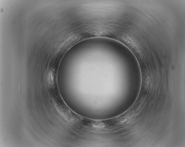 X0000087390214200704201250