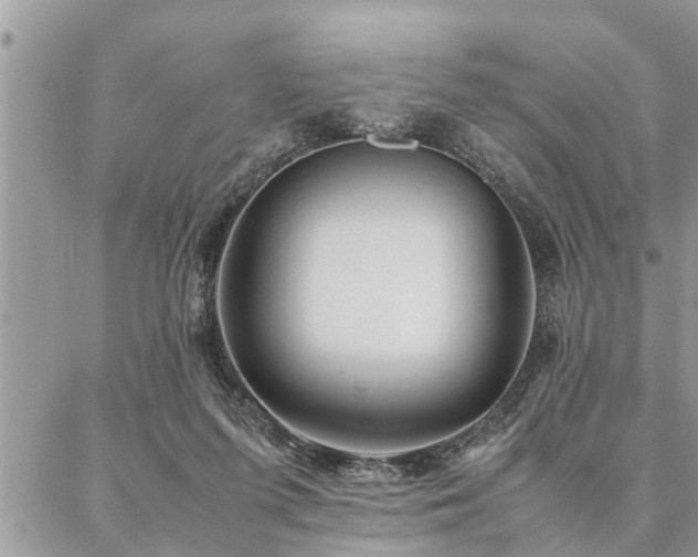 X0000087390215200704201250