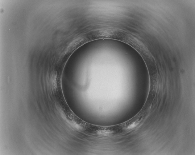 X0000087390216200704201250