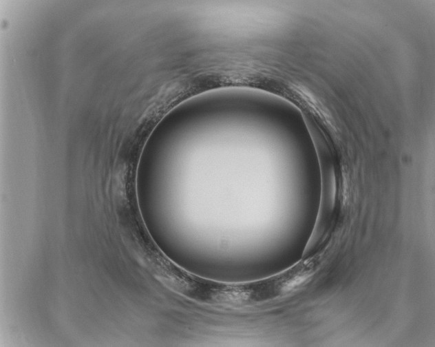 X0000087390217200704201250