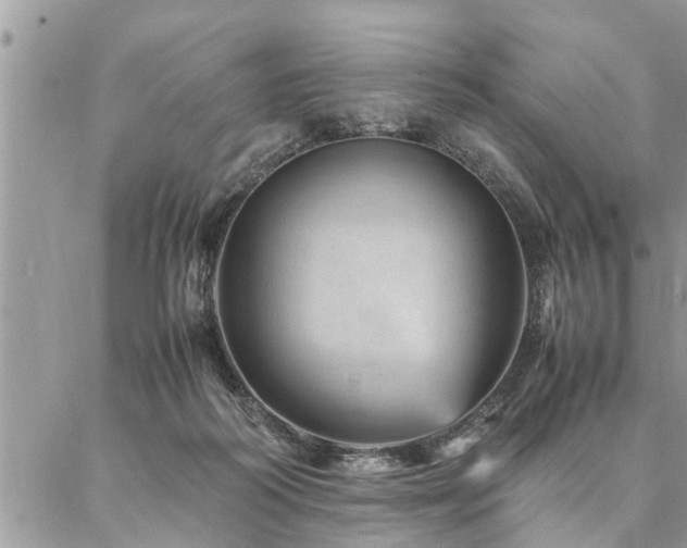 X0000087390218200704201250