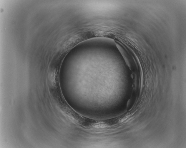 X0000087390219200704201250