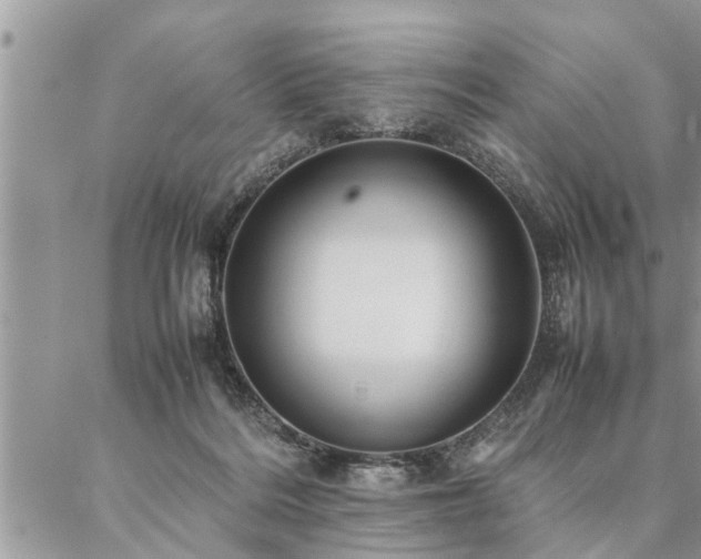 X0000087390220200704201250