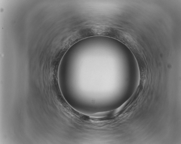 X0000087390221200704201250