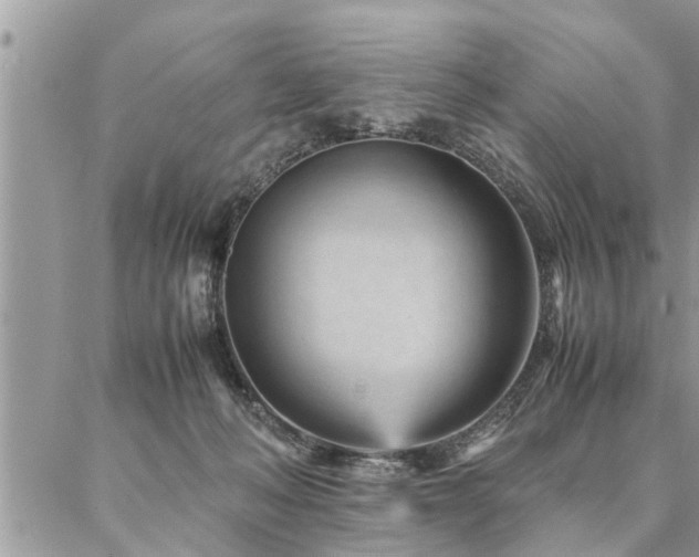 X0000087390222200704201250