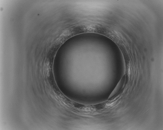 X0000087390223200704201250