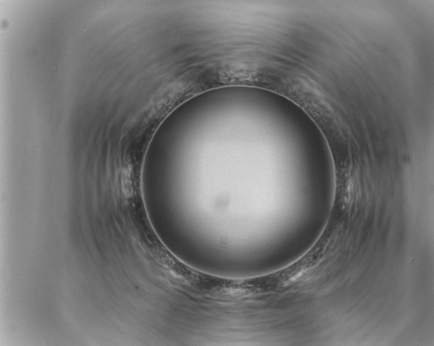 X0000087390224200704201250