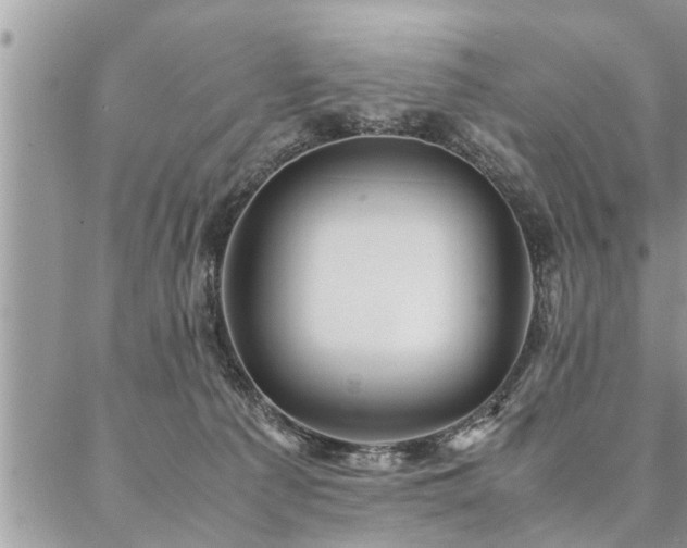 X0000087390225200704201250