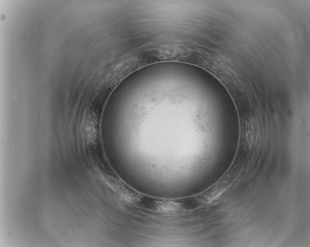 X0000087390226200704201250