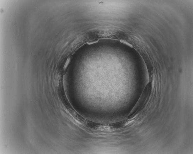 X0000087390227200704201250