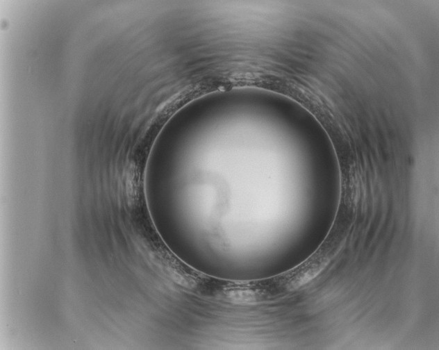 X0000087390228200704201250