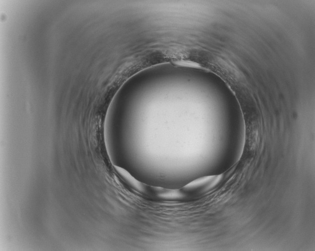 X0000087390229200704201250