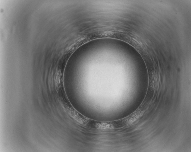 X0000087390230200704201250