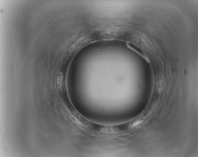 X0000087390231200704201250