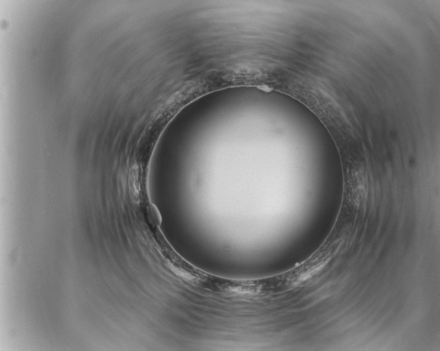 X0000087390232200704201250