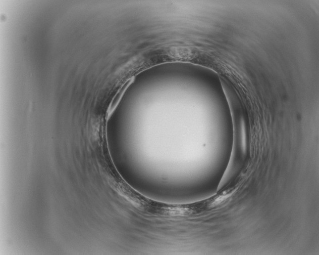 X0000087390233200704201250