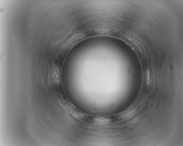 X0000087390234200704201250