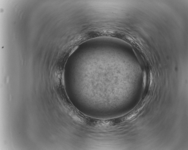 X0000087390235200704201250