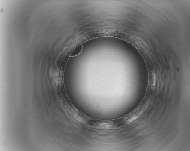 X0000087390236200704201250