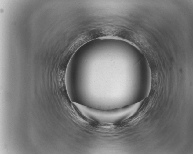 X0000087390237200704201250