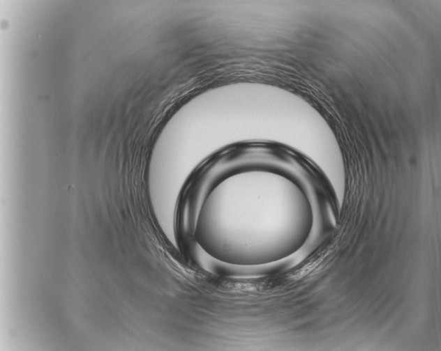 X0000087390239200704201250