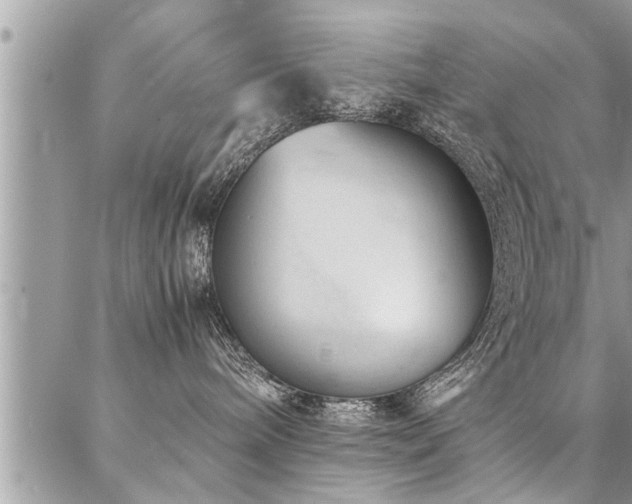 X0000087390240200704201250