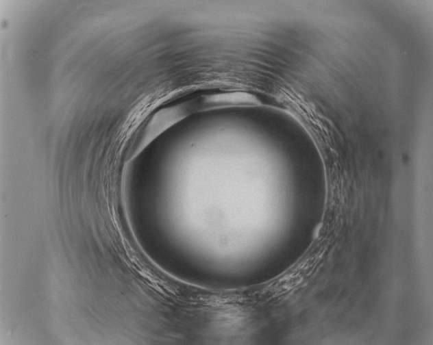 X0000087390241200704201249