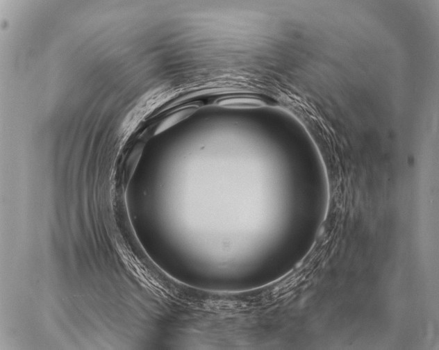 X0000087390242200704201249