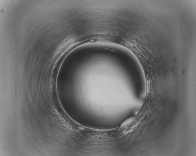 X0000087390243200704201249