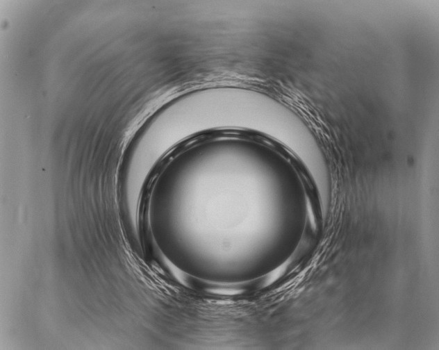 X0000087390244200704201249