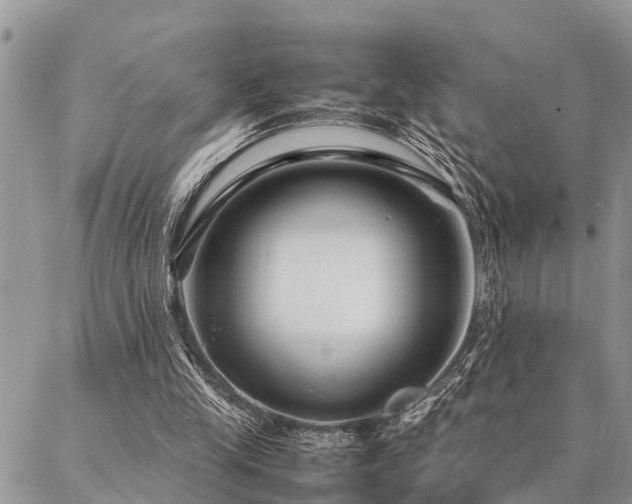 X0000087390245200704201249