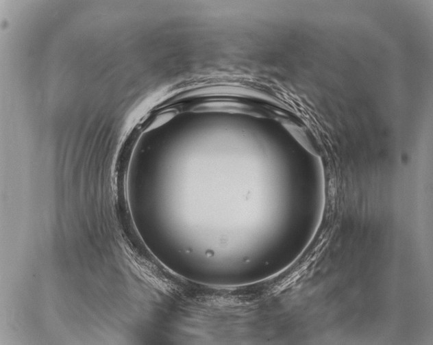 X0000087390246200704201249