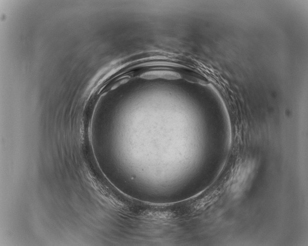 X0000087390247200704201249