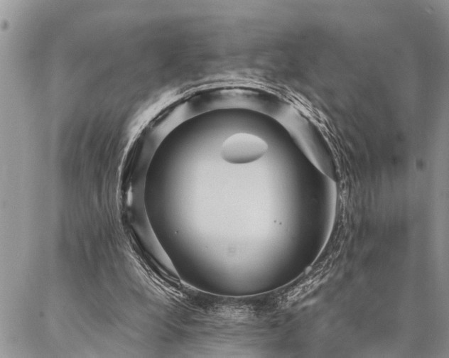 X0000087390248200704201249