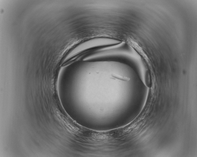 X0000087390249200704201249