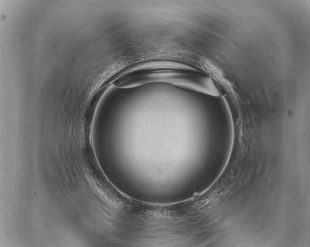 X0000087390250200704201249